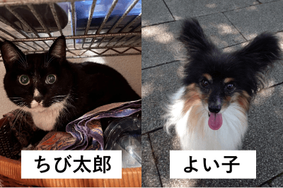 ちび太郎とよい子